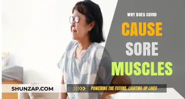 Why COVID-19 Triggers Muscle Pain and Body Aches Explained