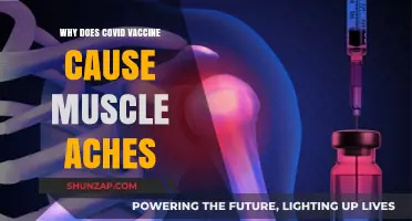 Understanding COVID Vaccine Side Effects: Why Muscle Aches Occur