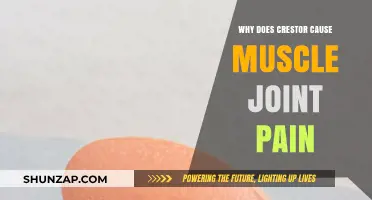 Crestor Side Effects: Understanding Muscle and Joint Pain Causes