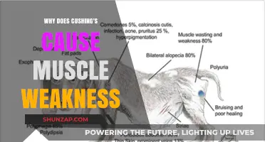 Cushing's Syndrome and Muscle Weakness: Understanding the Connection
