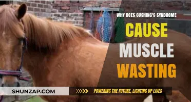 Cushing's Syndrome and Muscle Wasting: Unraveling the Hormonal Connection