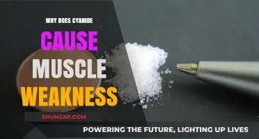 Cyanide's Toxic Impact: Unraveling the Cause of Muscle Weakness