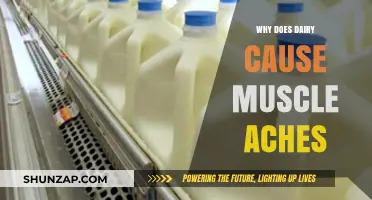 Dairy and Muscle Aches: Unraveling the Hidden Connection