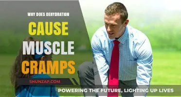 Dehydration and Muscle Cramps: Unraveling the Painful Connection