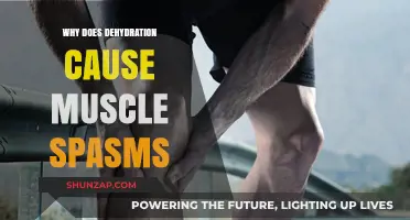 Dehydration and Muscle Spasms: Understanding the Critical Connection