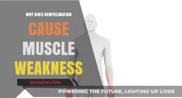 Demyelination and Muscle Weakness: Understanding the Neurological Connection