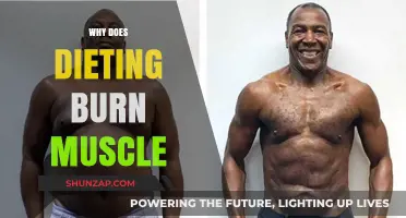 Dieting's Dark Side: Burning Muscle, Not Fat