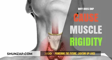 DNP's Dark Side: Unraveling Muscle Rigidity and Its Mechanisms