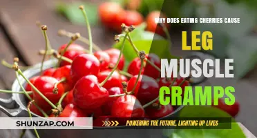 Cherries and Leg Cramps: Unraveling the Surprising Connection