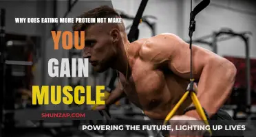 Protein Intake and Muscle Gain: Debunking the More-Is-Better Myth