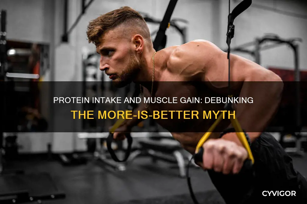 why does eating more protein not make you gain muscle