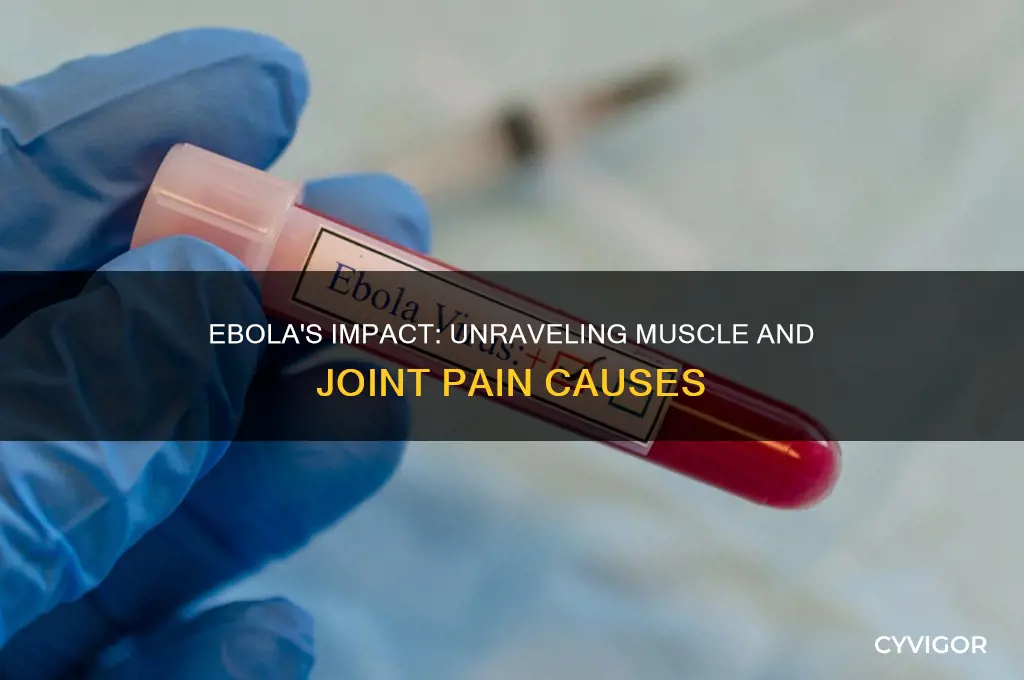 why does ebola cause achy muscles and joints