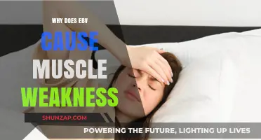 How EBV Triggers Muscle Weakness: Understanding the Connection
