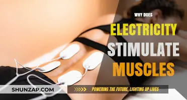 Electricity's Muscle Stimulation: Understanding the Science