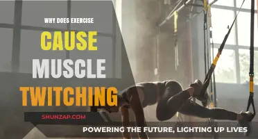 Why Exercise Triggers Muscle Twitching: Causes and Solutions Explained