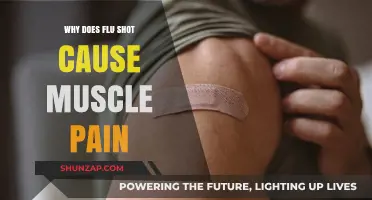 Understanding Flu Shot Side Effects: Why Muscle Pain Occurs After Vaccination