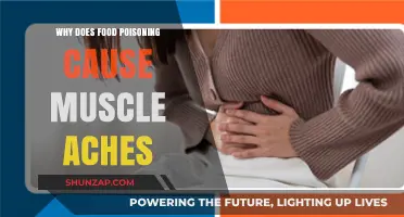 Food Poisoning and Muscle Pain: Unraveling the Surprising Connection