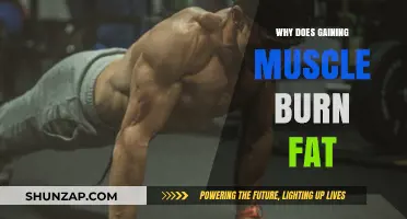 Muscle Building and Fat Loss: How Strength Training Transforms Your Body