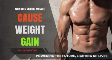 Muscle Gain and Weight Increase: Understanding the Connection
