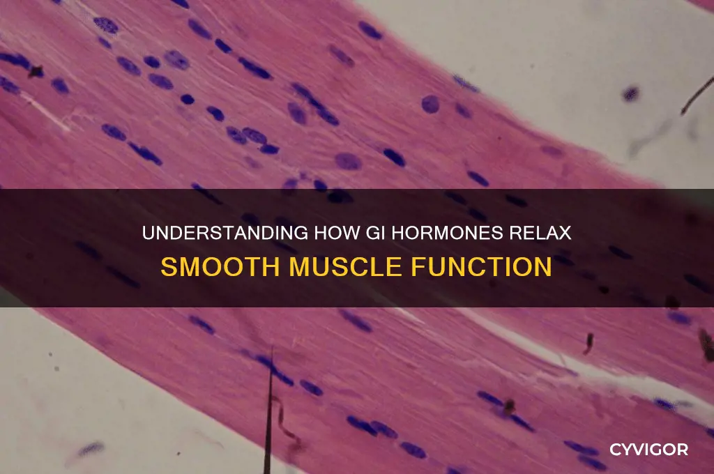 why does gi relax smooth muscle