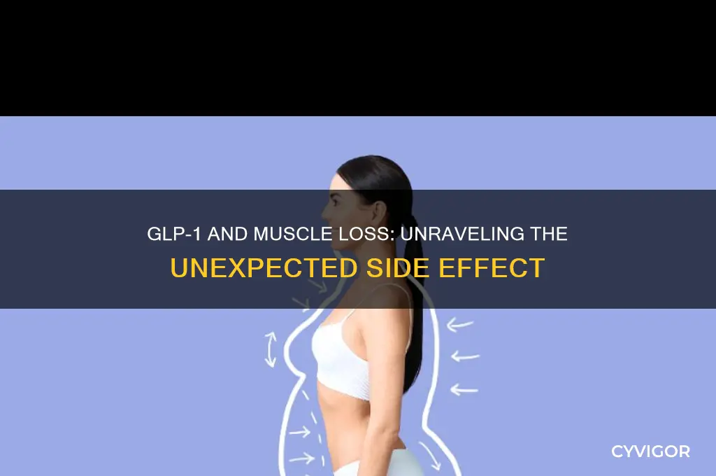 why does glp-1 cause muscle loss