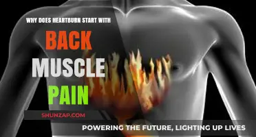 Heartburn and Back Pain: Unraveling the Surprising Connection
