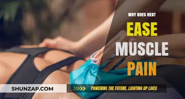 Heat Therapy: How Warmth Relieves Muscle Pain and Promotes Healing