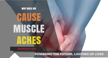 Understanding HIV-Related Muscle Pain: Causes, Mechanisms, and Management