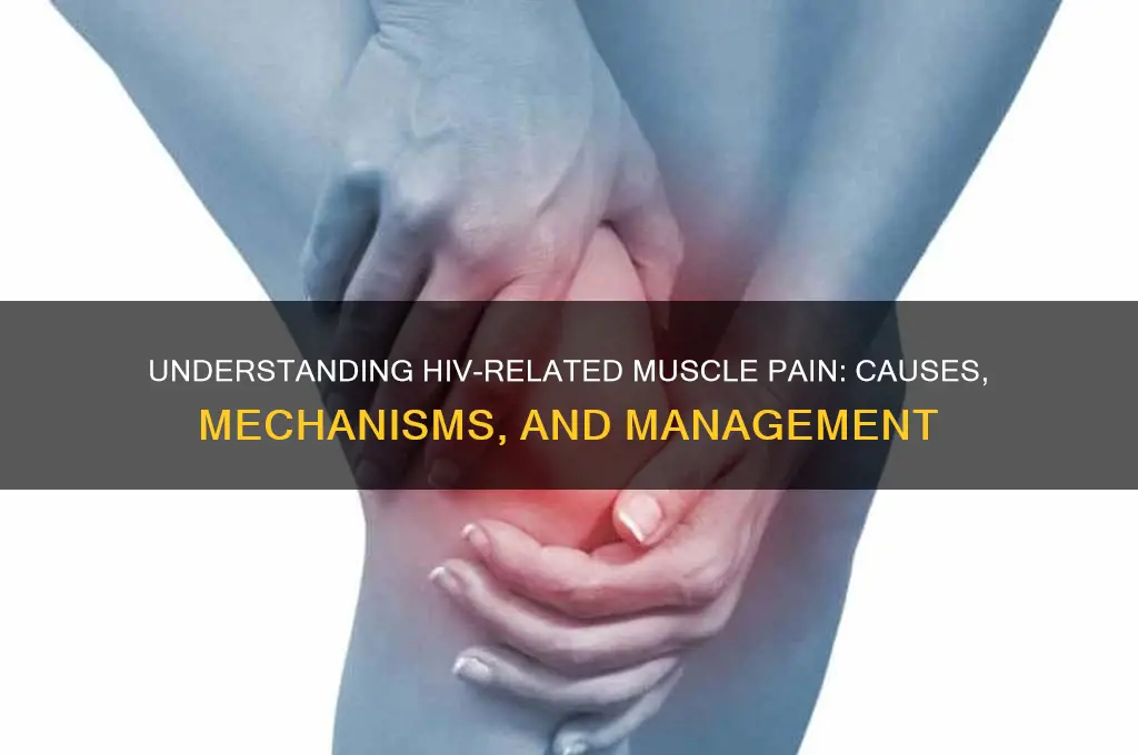 why does hiv cause muscle aches