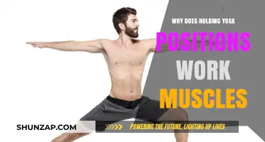 How Holding Yoga Poses Builds Strength and Tones Muscles