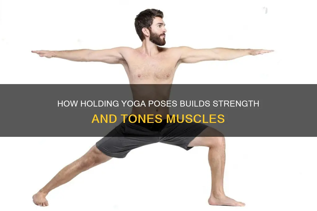 why does holding yoga positions work muscles