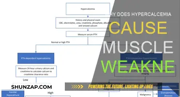 Hypercalcemia and Muscle Weakness: What's the Link?