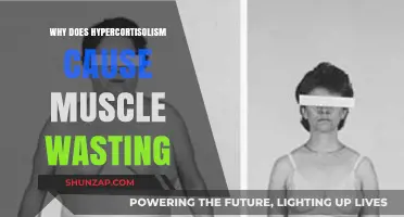 Hypercortisolism and Muscle Wasting: Understanding the Link and Mechanisms