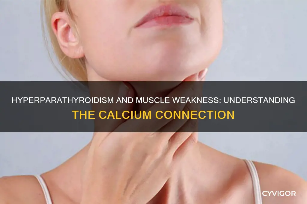 why does hyperparathyroidism cause muscle weakness