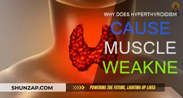 Hyperthyroidism and Muscle Weakness: What's the Link?