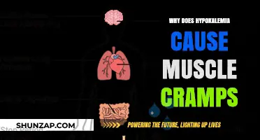 Hypokalemia and Muscle Cramps: Understanding the Electrolyte Connection