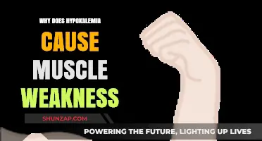 Hypokalemia's Impact: Unraveling the Link to Muscle Weakness