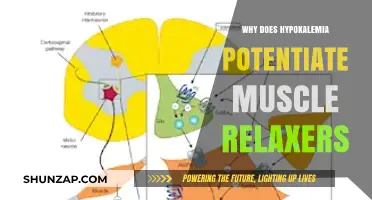 Hypokalemia's Impact: How Low Potassium Enhances Muscle Relaxant Effects