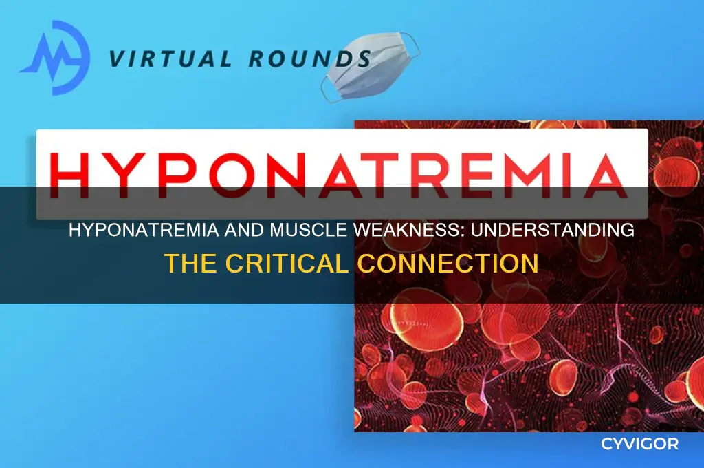 why does hyponatremia cause muscle weakness