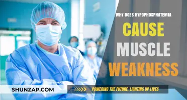 Hypophosphatemia and Muscle Weakness: Understanding the Critical Connection