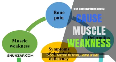 Hypothyroidism and Muscle Weakness: Understanding the Hormonal Connection