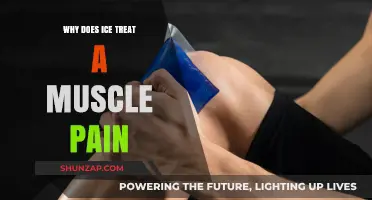 How Ice Therapy Effectively Relieves Muscle Pain and Reduces Inflammation