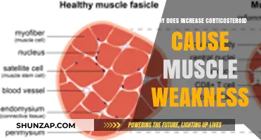 Corticosteroid-Induced Muscle Weakness: Causes, Mechanisms, and Prevention Strategies