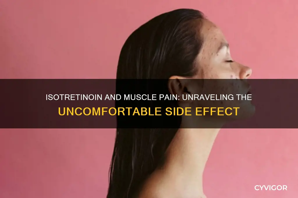 why does isotretinoin cause muscle pain