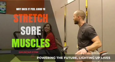 Stretching Sore Muscles: Unlocking Relief and Relaxation for Your Body