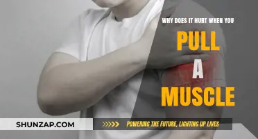 Understanding Muscle Pain: Why Pulled Muscles Cause Discomfort and How to Heal