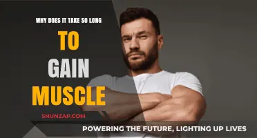 Why Muscle Growth Takes Time: Unraveling the Slow Process