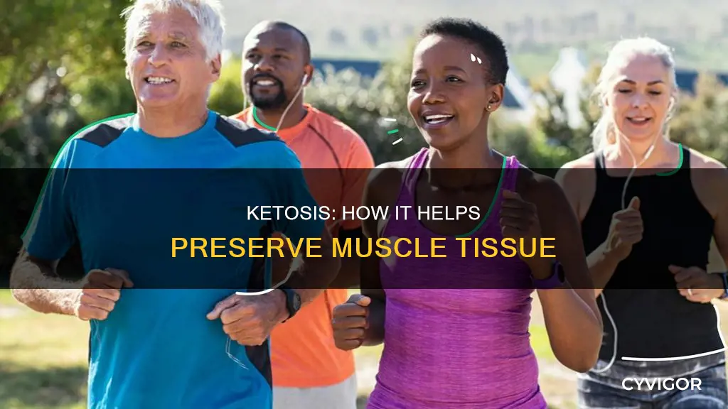 why does ketosis save muscle