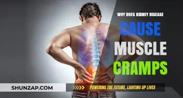 Kidney Disease and Muscle Cramps: Unraveling the Painful Connection