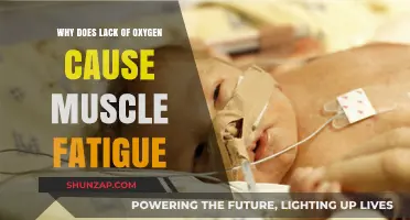 Oxygen Deprivation and Muscle Fatigue: Understanding the Connection